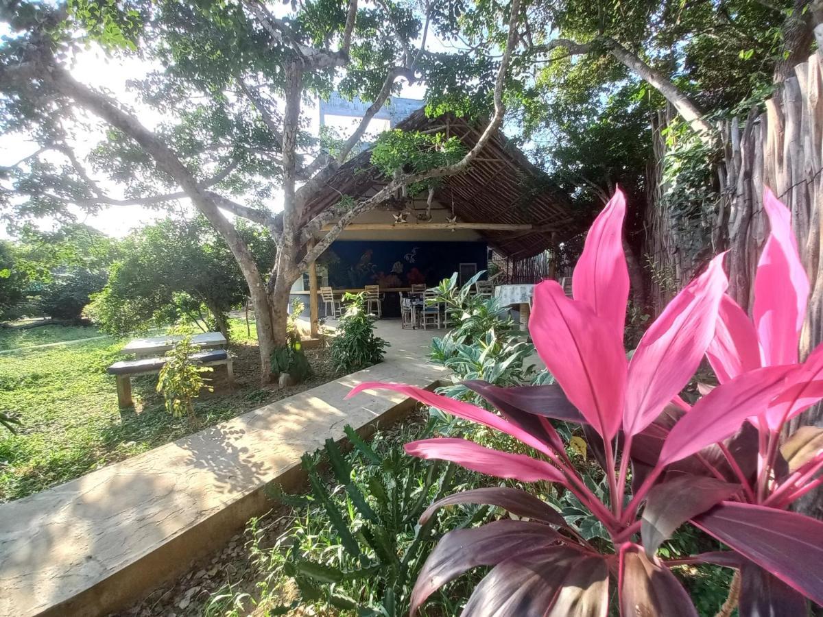 Watamu Beach Cottages B&B Ngoại thất bức ảnh